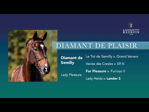Diamant de Plaisir v. Diamant de Semilly - For Pleasure, Hannoveraner, Hengst, gekört,  2012