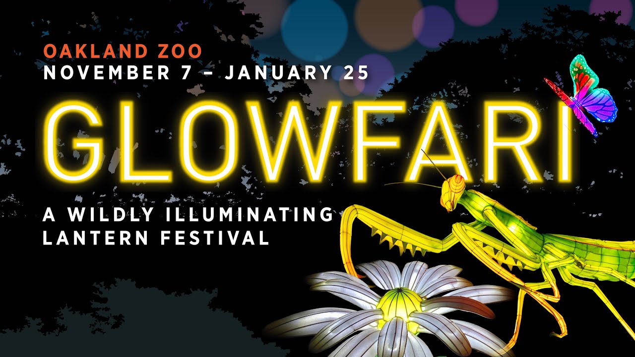 Glowfari at Oakland Zoo!