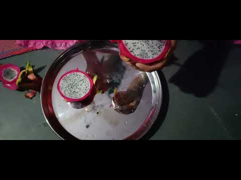 How to cut dragon fruit..! #dailyvlog