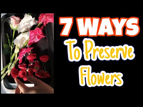 "7 Easy Ways to Dry and Preserve Flowers for Resin Art!"