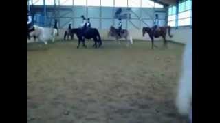 preview picture of video 'Ten Quarterhorse-Riders do a quadrille - a clip without Megan Fox and Lady Gaga'