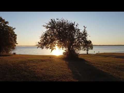Lake Lavon Wish Come True Tree