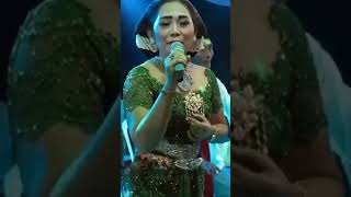 Download lagu TAYUP GIYANTINI CS TERBARU 2025 #tayup #tayub #tayupmadura #paradisc #giyantini mp3 Download lagu TAYUP GIYANTINI CS TERBARU 2025 #tayup #tayub #tayupmadura #paradisc #giyantini mp3