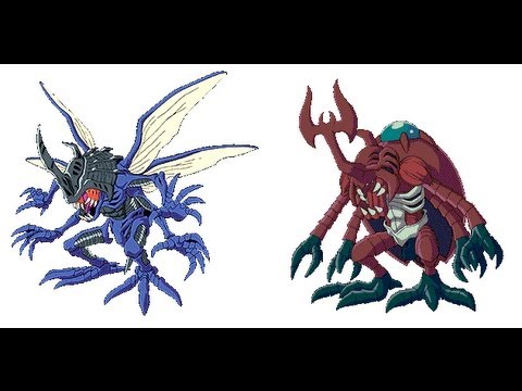 Digivolving Kabuterimon to MegaKabuterimon