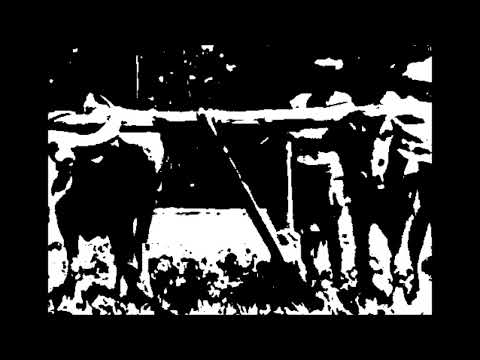 [1060] Scalped - Tribe