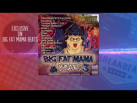 Big Fat Mama Beats 3 - VA (Minimix) Promo