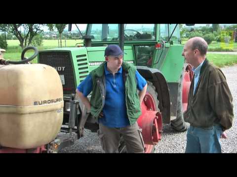 Fahrgassenrüben beseitigen