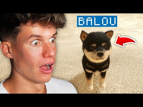 BALOU IST ZURÜCK 🐶🥹