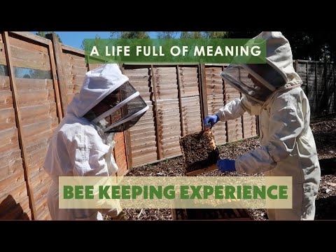 Ep 248 Bee Keeping | Narrowboat Cruise | Weekly Vlog 13 Aug (2022)