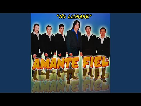 Solamente Tu