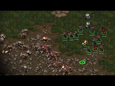 teammate of Scan smashes Artosis