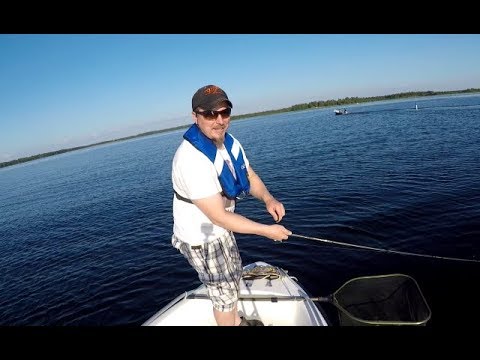 Ahvenen jigausta merellä