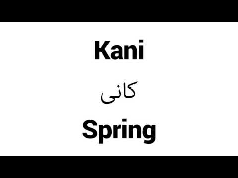 How to Pronounce Kani! - Middle Eastern Names