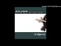Filter - God Damn Me