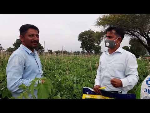 Black organic plant growth promoter, liquid, packaging size:...