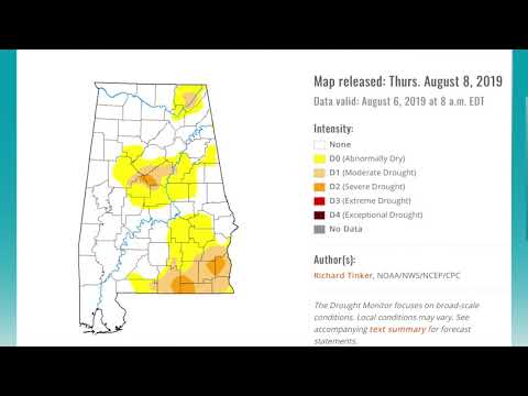 August 8, 2019 Weather Xtreme Video - Afternoon Edition