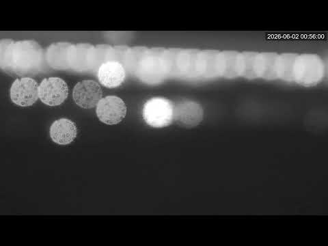 Camera Offline