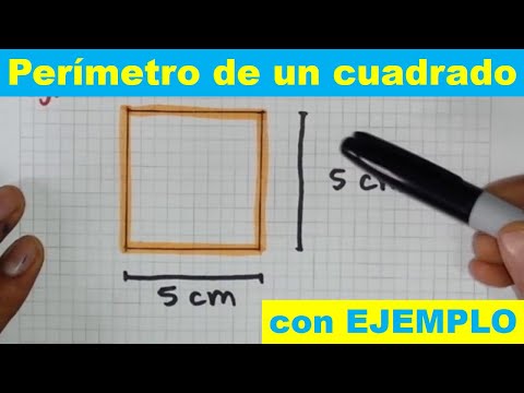 How to find the PERIMETER of a SQUARE