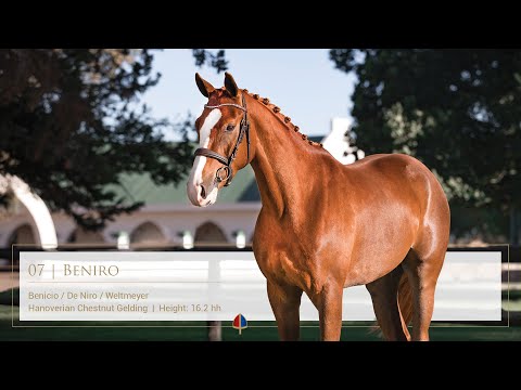 Lot 07 Callaho Beniro (Benicio/De Niro/Weltmeyer)