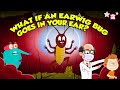 Earwigs! Are They Dangerous? | What Happens if an Earwig Gets in Your Ear? | Dr. Binocs Show