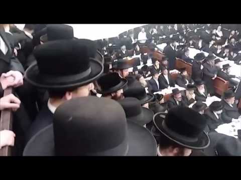 Tenoim Of Sadigura Rebbe's Son