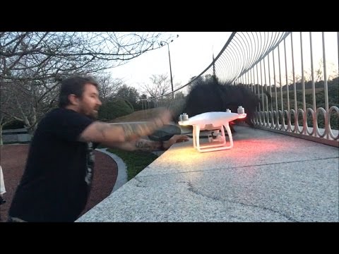 TDW 1596 - Crashed Drone at Statue Of Liberty