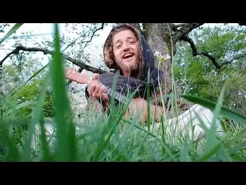 Piti Lion - Yanaheyana | Eine Melodie (Ukulele Version)