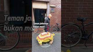 Download lagu This Japanese Grandpa Walked with a Giant Turtle! mp3