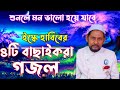 ইস্কে হাবিবের বাছাই করা চার টি গজল | Bangla Ghazal | Iske Habib 