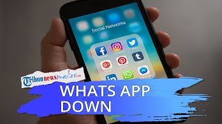WhatsApp, Instagram dan Facebook Down, Pengguna Aplikasi Milik Mark Zuckerberg Beralih ke Twitter