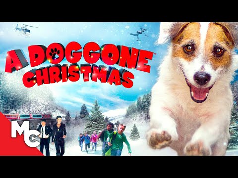 A Doggone Christmas | 2016 Family Christmas Movie