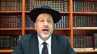 TANAKH 42 L EMPLOI DU TEMPS DU ROI DAVID