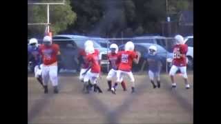 preview picture of video 'Hudson Spivey #21, Mullins Recreation Football - Tough Pass Play'