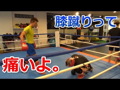【Vlog】スパーリングでプロに膝蹴りもらってダウンした【キックボクシング】