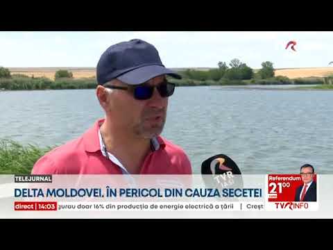Delta Moldovei, în pericol din cauza secetei