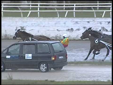 Trotto 22/02/2015 - 1° corsa