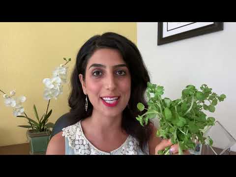 Watercress | 12 Amazing Health Benefits of Watercress | Dr. Eilbra Younan