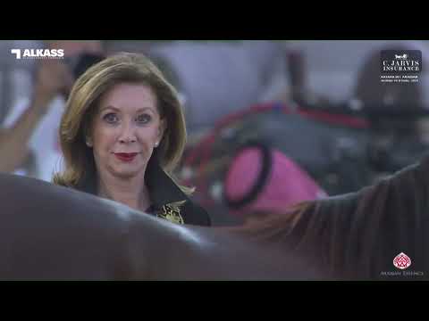 N 16 WD MARIA   Katara Int  Arabian Horse Festival 2023   Yearling Fillies Class 1B