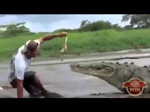 Rolig video skratt kolik 2015