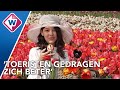 Minder toeristen met hun billen in de bollen, campagne werkt - OMROEP WEST