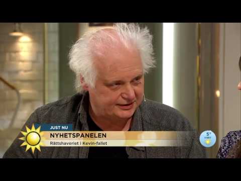 Dahlman om Kevinfallet: "Hur många sådana här fall finns det?"  - Nyhetsmorgon (TV4)