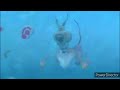 Marmaduke 2022 Underwater Scene Slow Motion Edit