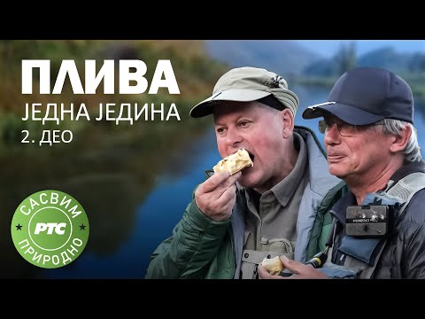 Sasvim prirodno: Pliva jedna jedina, 2.deo (Jovan Memedović)