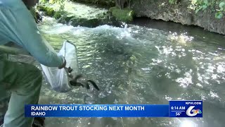 Rainbow Trout Stocking Schedule