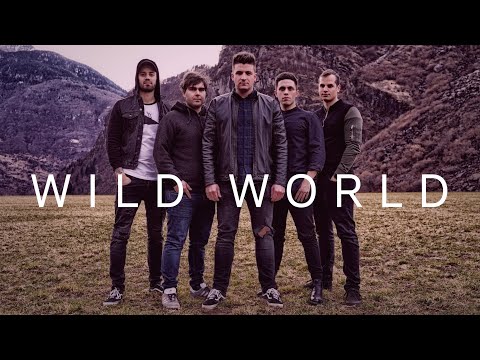 Barbie Sailers - Wild World (Official Music Video)