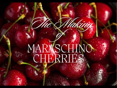 Hoe it's Made: Maraschino Cherrie