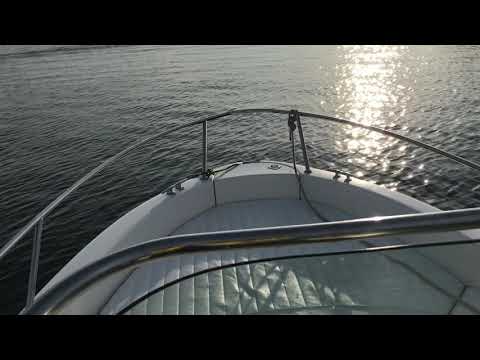 Stingray XRIII JR with 60 hp 4 stroke efi