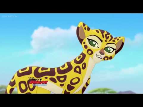 Wild Animals Don't Dance trailer