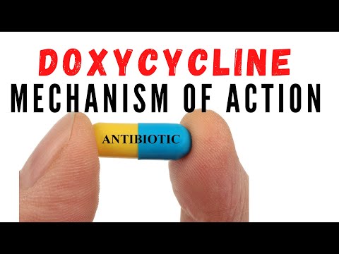 Doxiheal 100 100mg doxycycline and lactic acid bacillus tabl...
