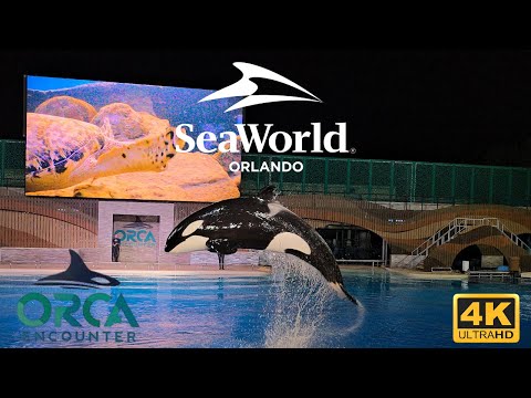 🌊🐋 Orca Encounter Nighttime Show | SeaWorld Orlando  2025 | 4K Ultra HD